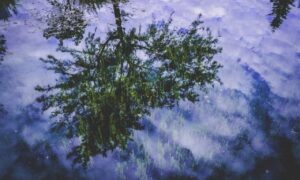 advantages of meetshaxs software