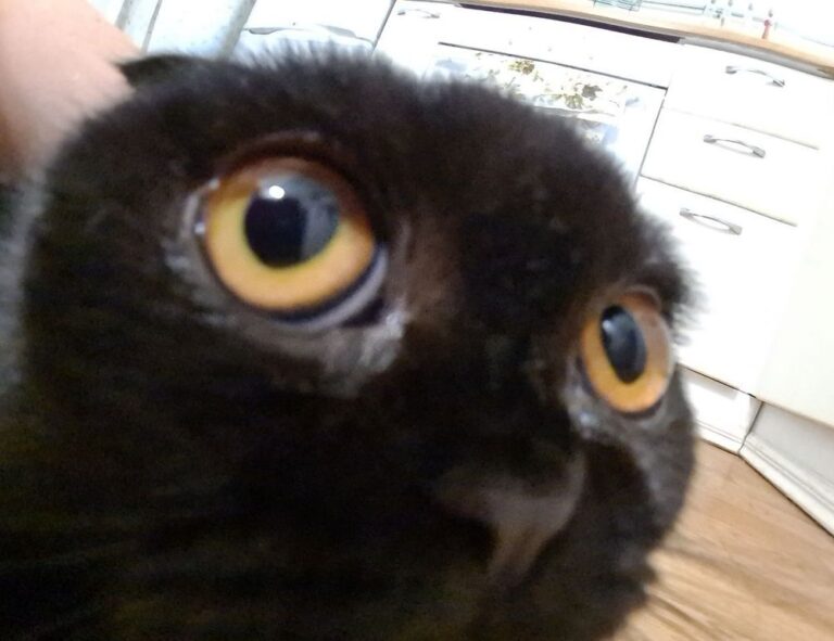 cooking recipes cwbiancarecipes