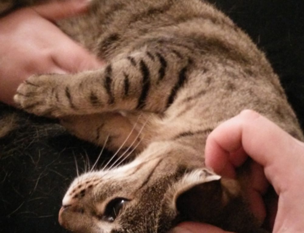 cwbiancarecipes fresh food