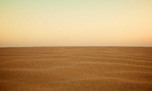 dietary infoguide ontpdiet