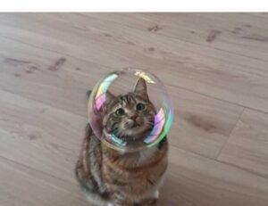 easy recipes heartarkable