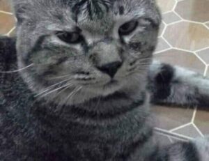 fhthblog quick recipes from fromhungertohope