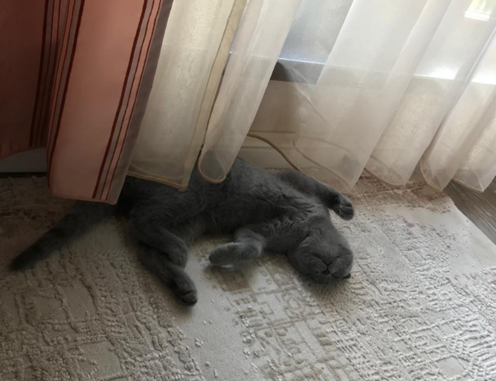 fhthgoodfood latest food trends by fromhungertohope