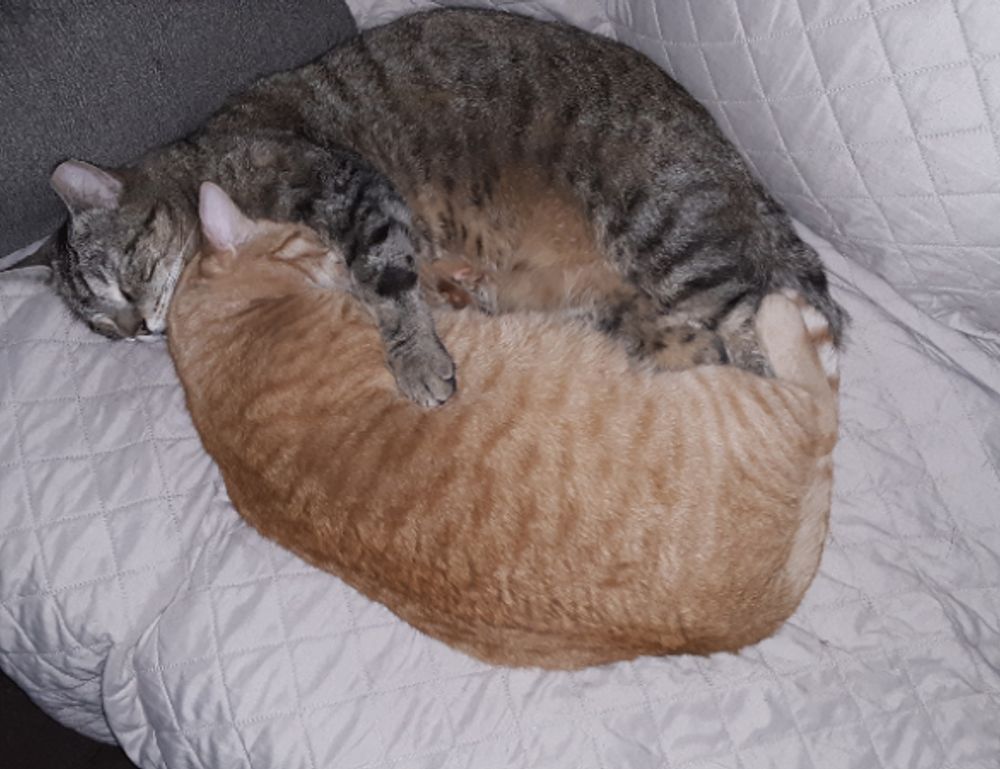 fix code susbluezilla