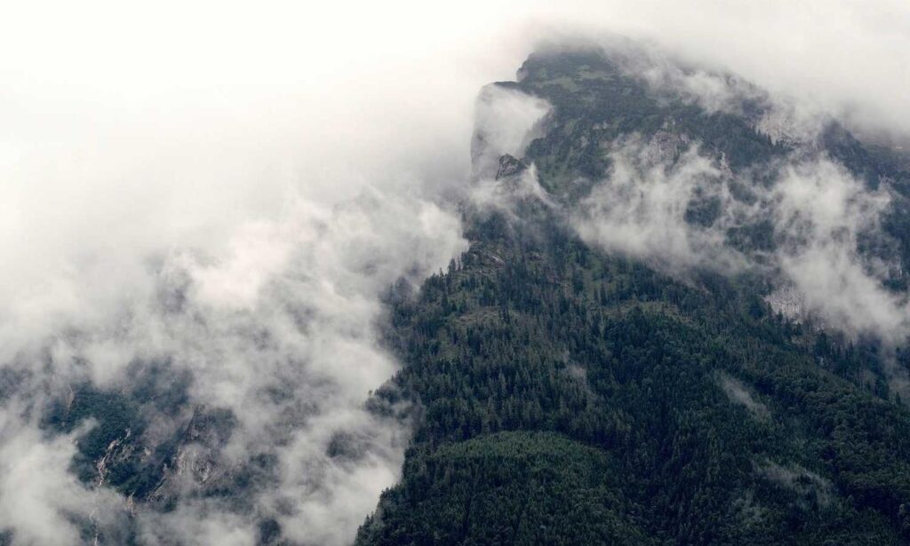 food infoguide fhthrecipe