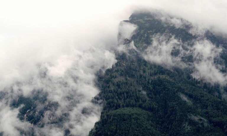 food infoguide fhthrecipe