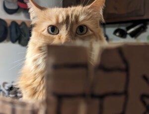 food trends heartarkable