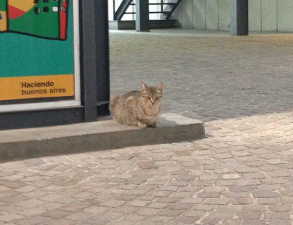 foods that stay good some time after expiration date fhthgoodfood