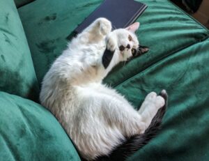 healthy brunch ideas fhthfoodcult