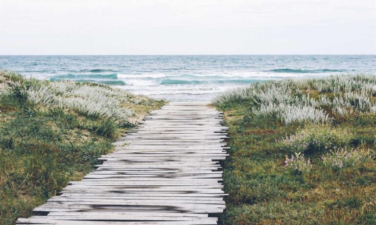 healthy food hacks ontpdiet