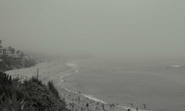 how to apply zosisfod eyebrow pencil