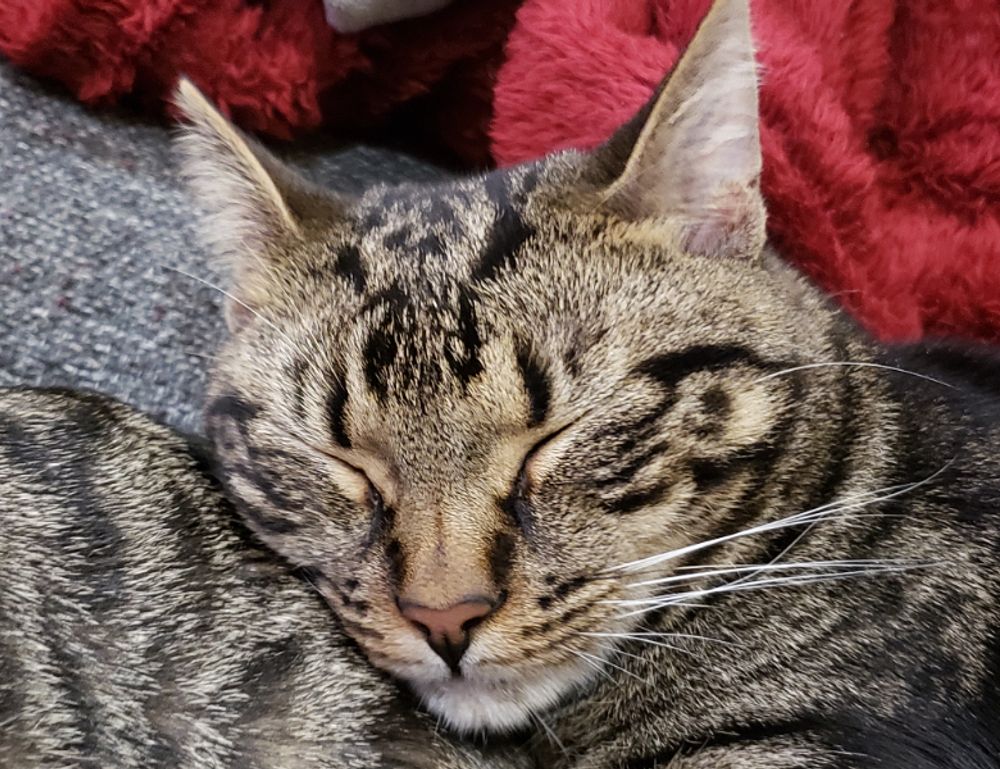 how to bake properly cwbiancarecipes