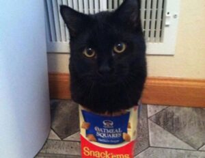 how to read a cooking recipe fhthrecipe