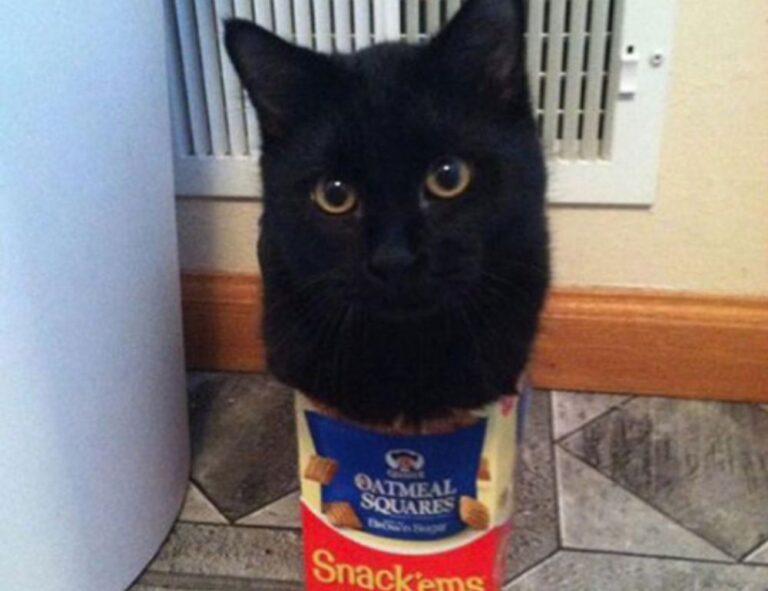 how to read a cooking recipe fhthrecipe