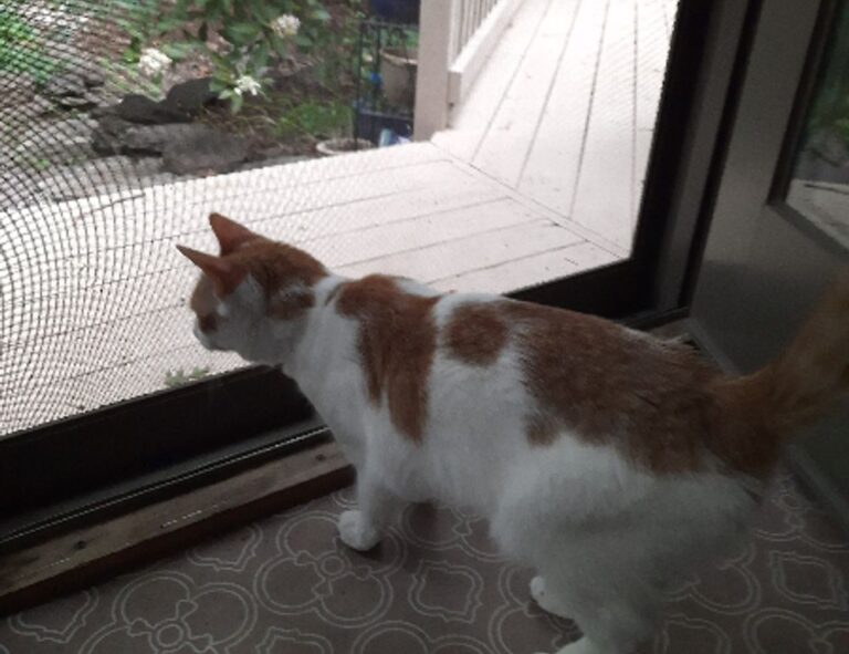 how zillexit software can be stored safely