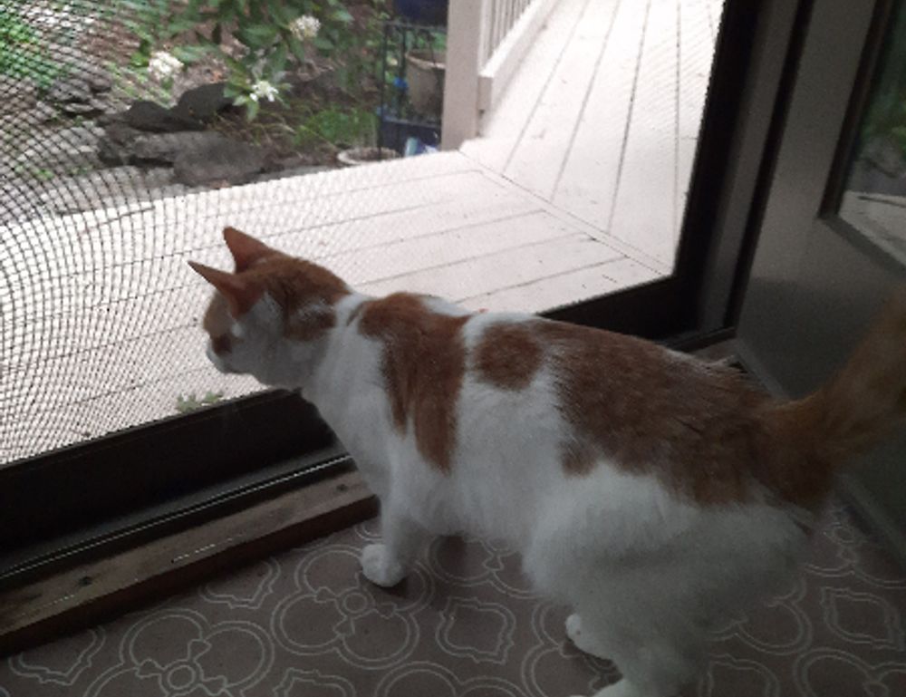 how zillexit software can be stored safely