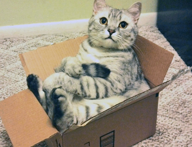 mopfell78 version 2024