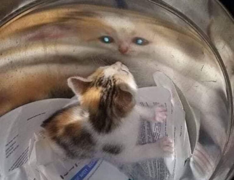 nutritional meals fhthgoodfood