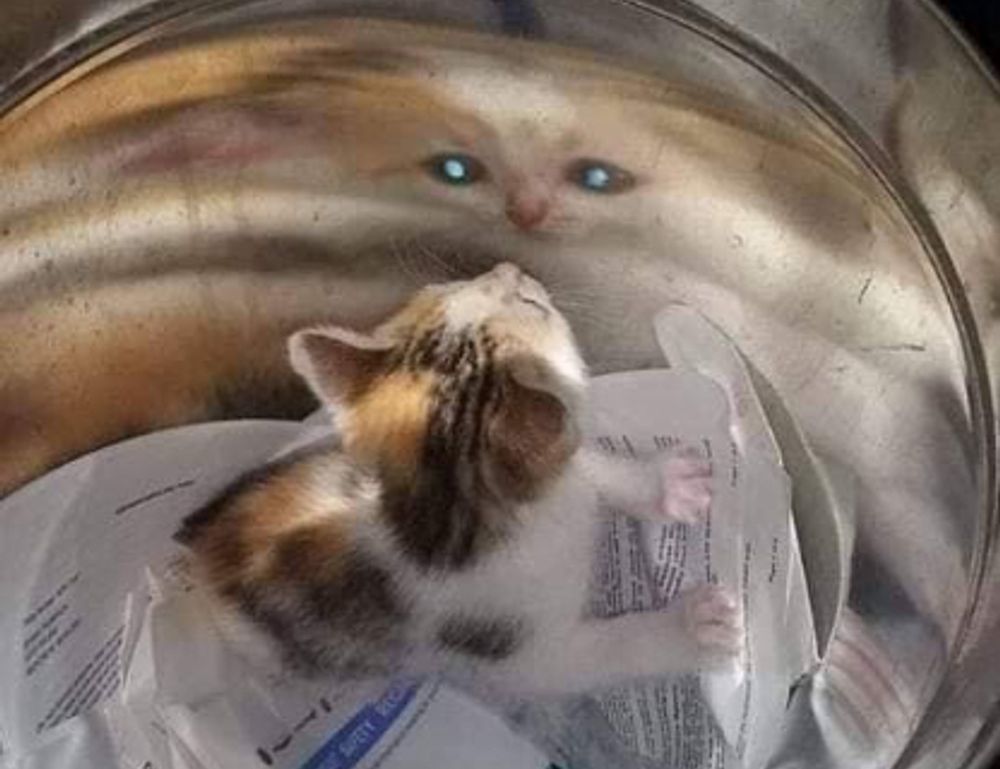 nutritional meals fhthgoodfood