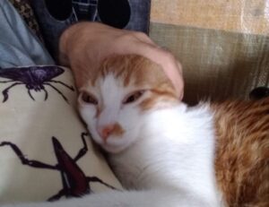 what are culinary treasures tbfoodtravel