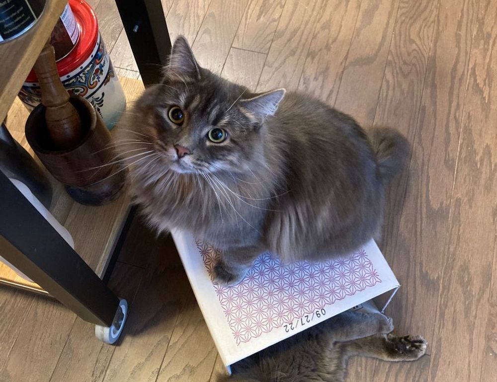 what is brunch fhthfoodcult