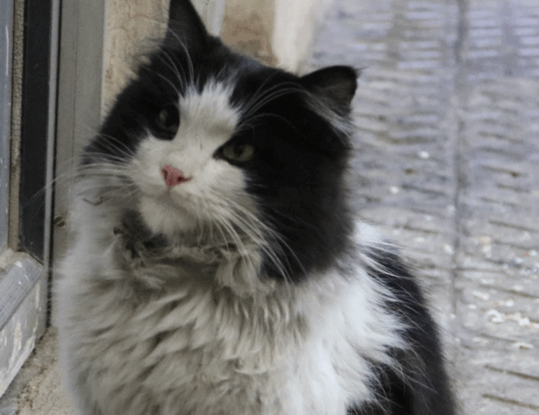 what is food travel tbfoodtravel