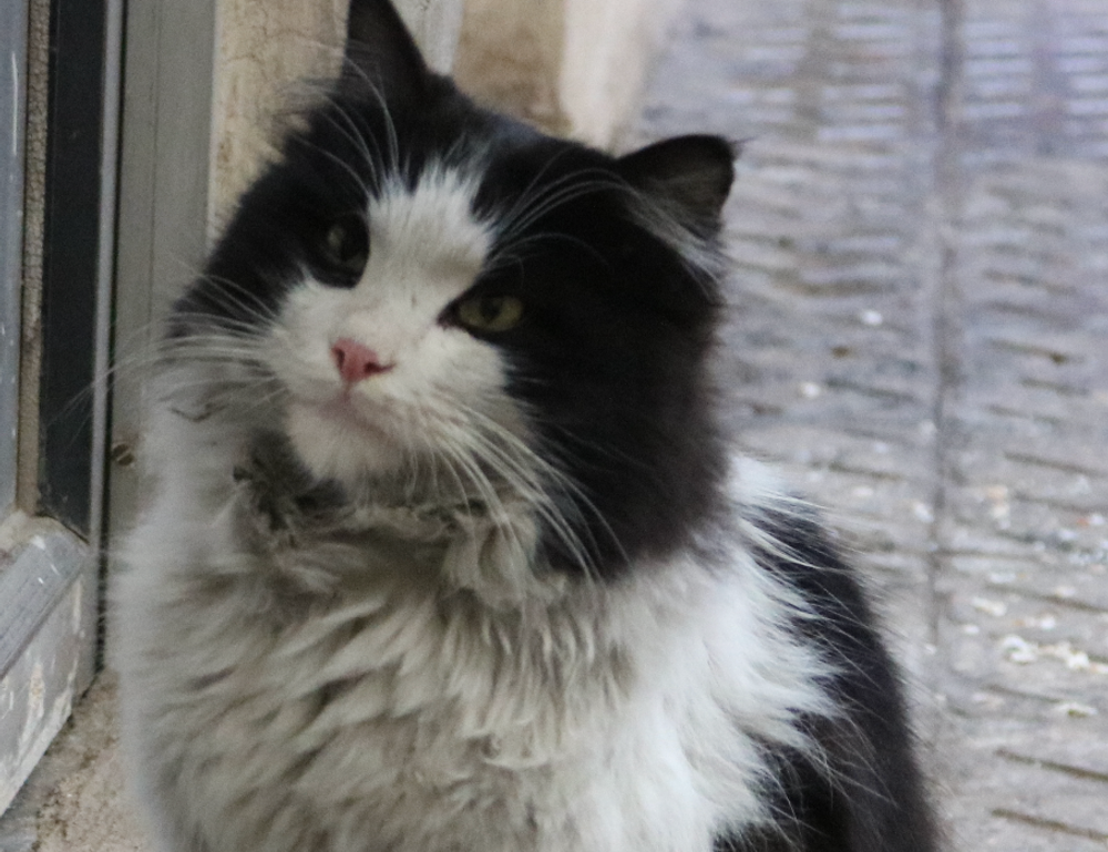 what is food travel tbfoodtravel