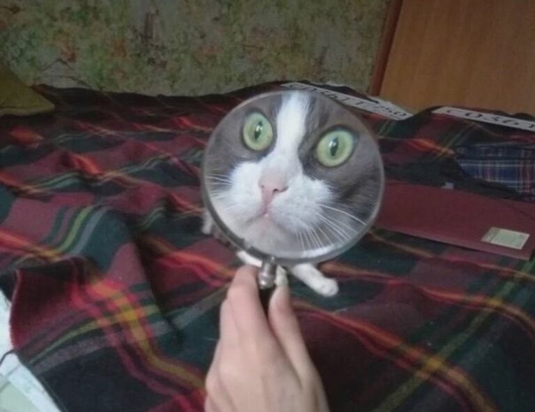 what is the best italian recipe tbfoodtravel