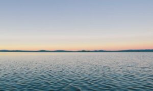 which cooking wine to use heartarkable