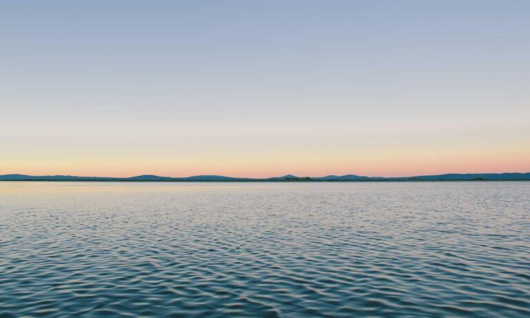 which cooking wine to use heartarkable