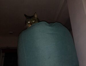 which food good for diabetes ontpdiet