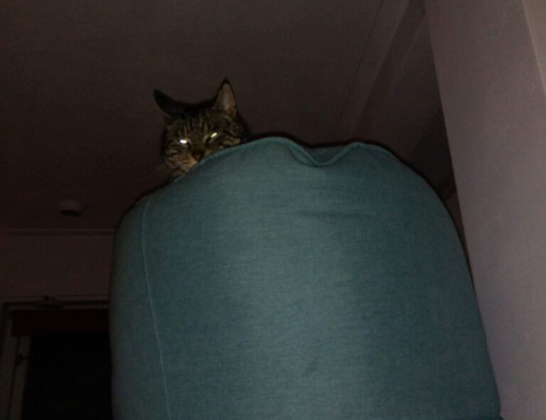 which food good for diabetes ontpdiet