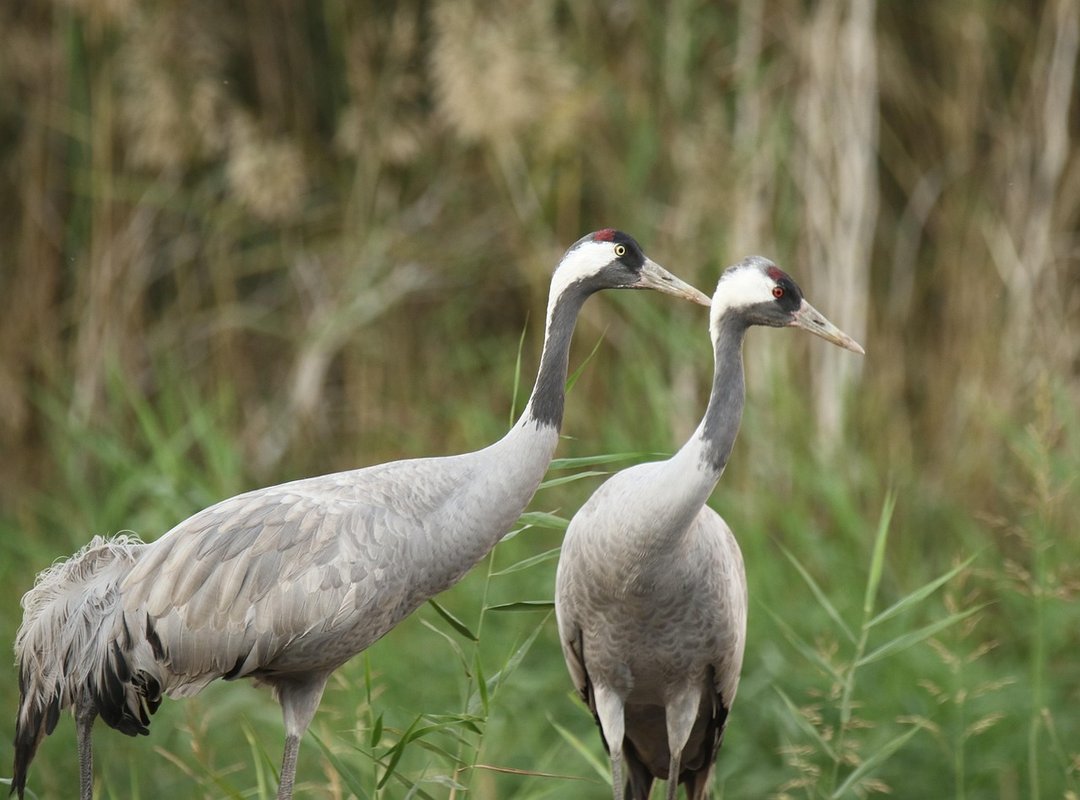 What Are the Healthiest Food Ttbskitchen