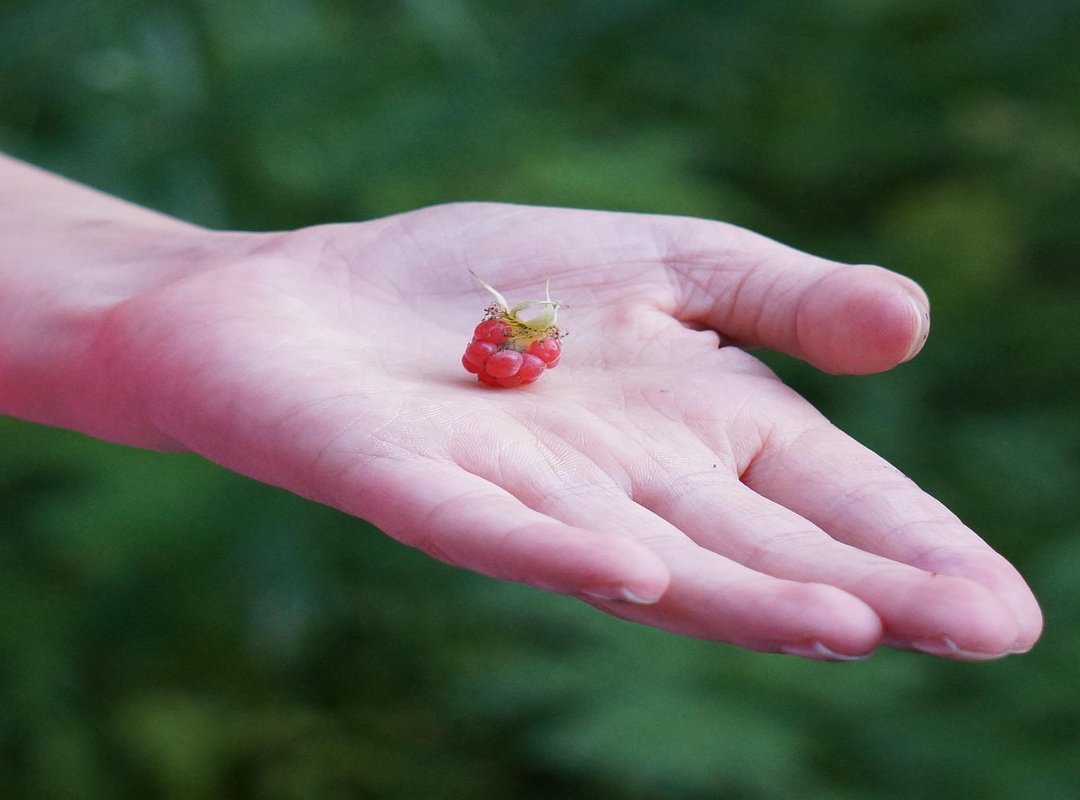 What to Expect Once You're Inside the Community