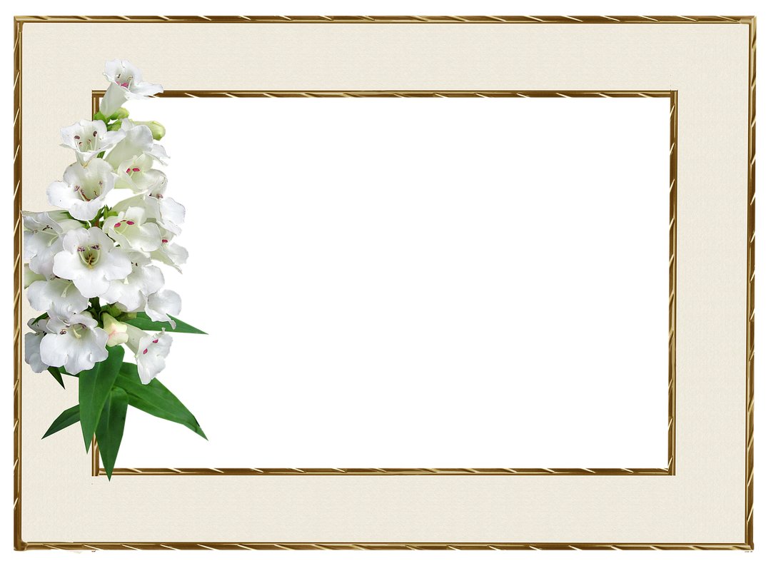 Elegant Floral and Nature-Inspired Designs