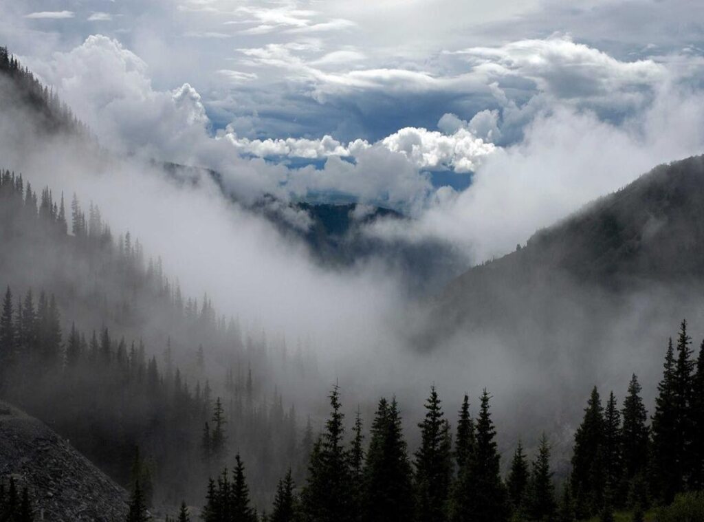 hawkes bay couriers (hub)