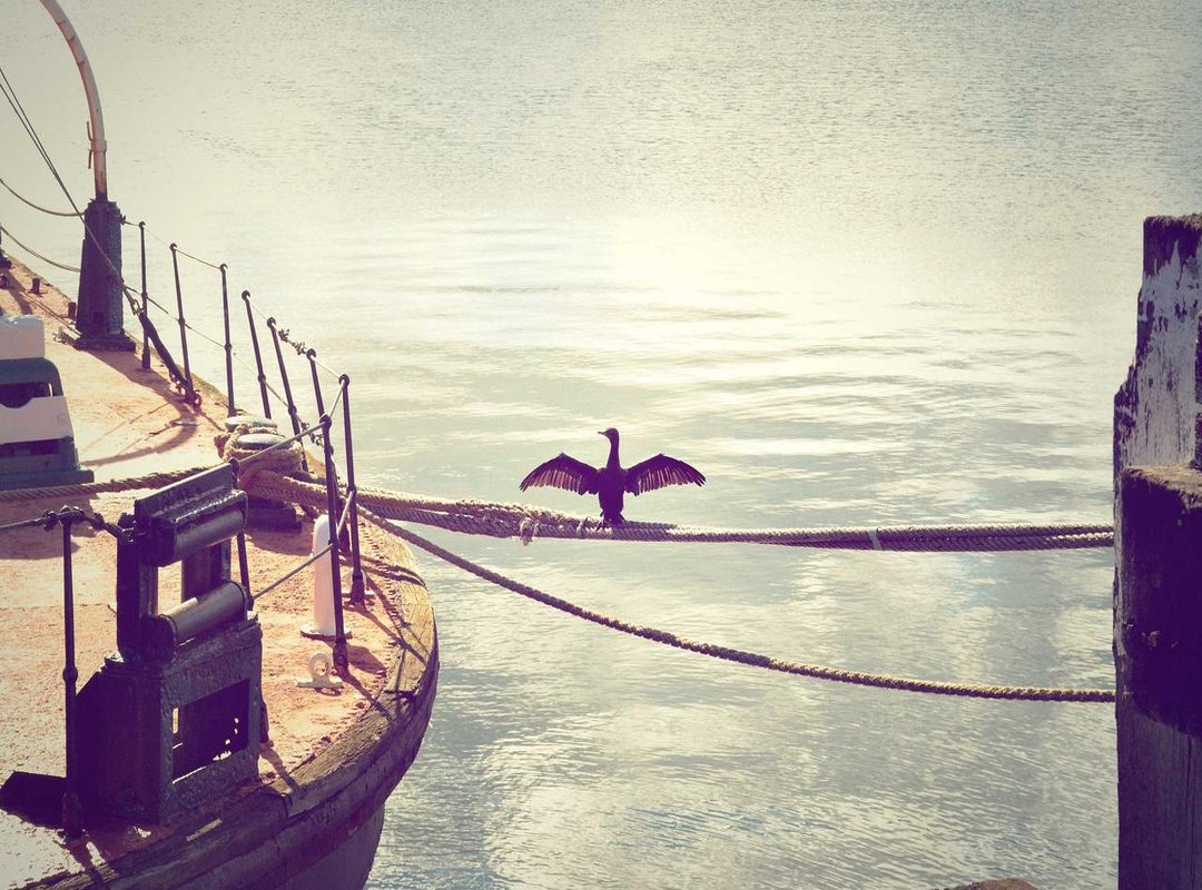 Life After the Breakup: Where Are Jarrod and Brandi Now?