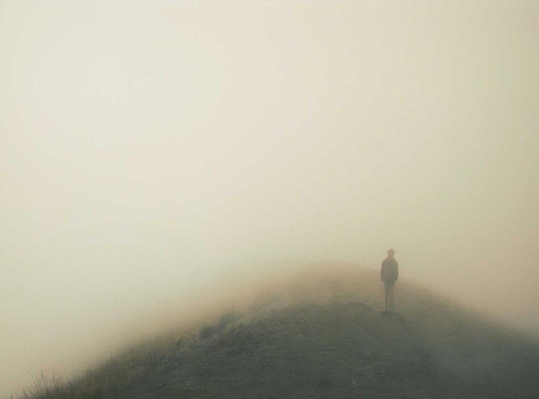 The Final Scene: An Unexpected Discovery and a Tense Cliffhanger