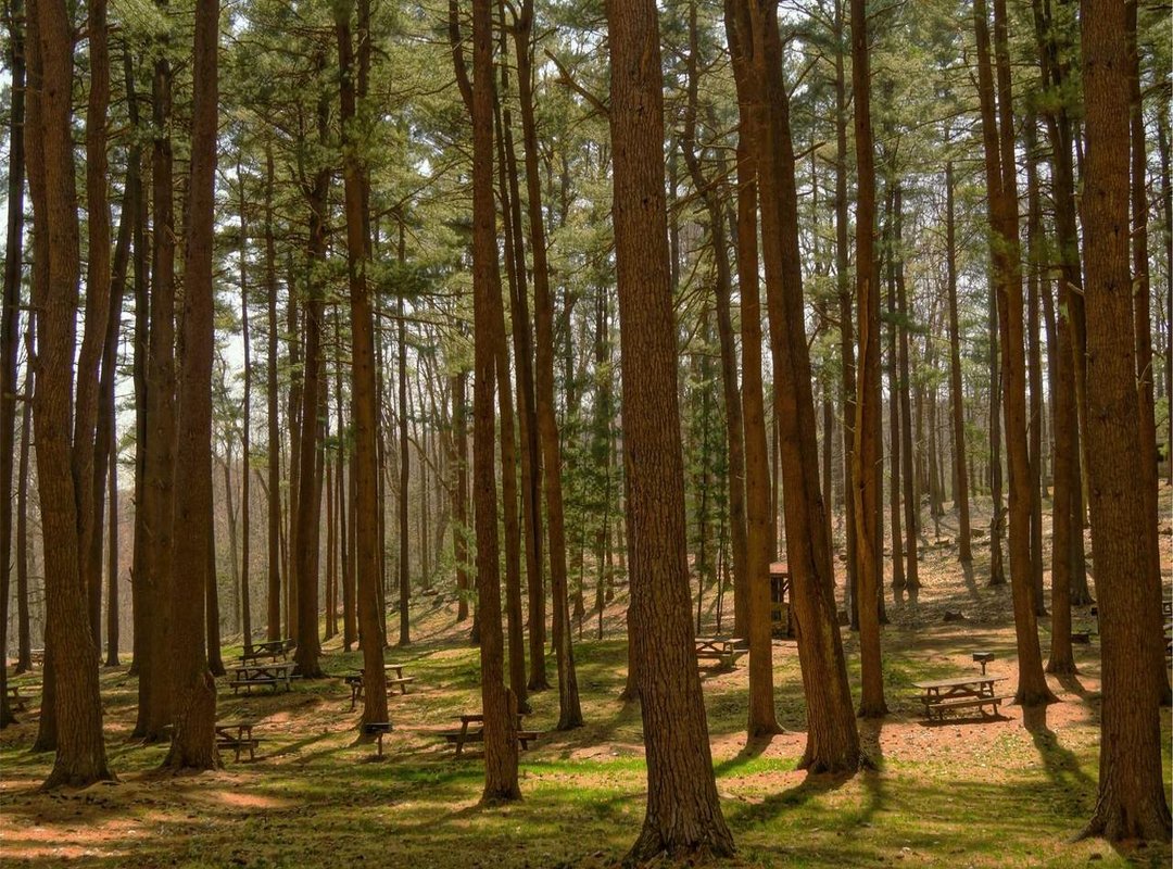 Frequently Asked Questions (FAQs)