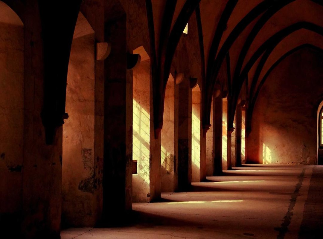 The Paternal Lineage: A Foundation of Athleticism