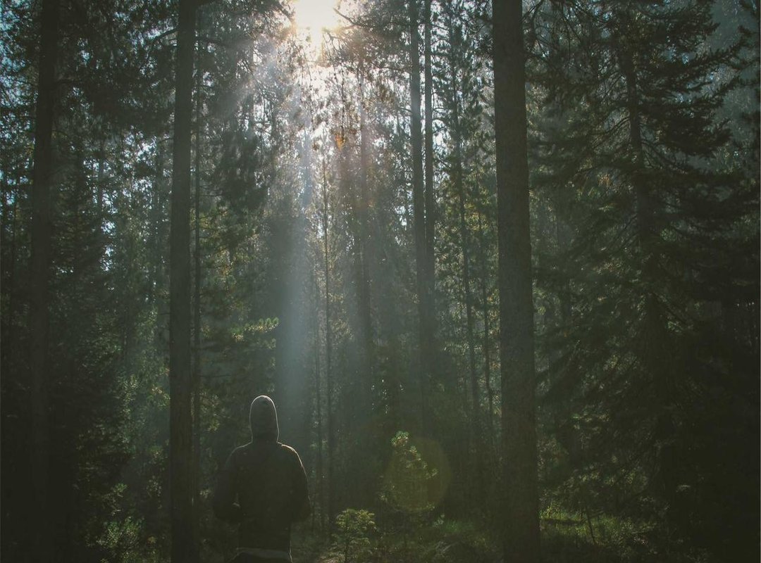 Putting It All Together: Real-World Examples