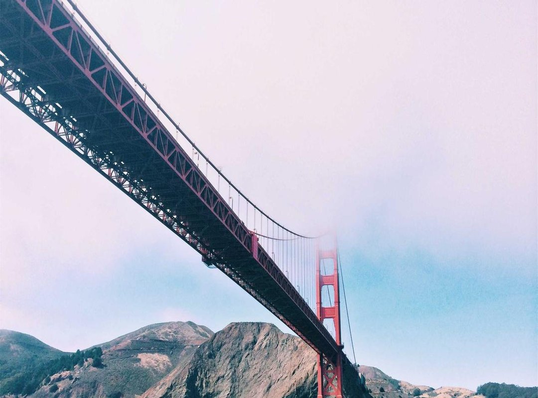 Real-World Examples: How Top Brands Use StoryOne