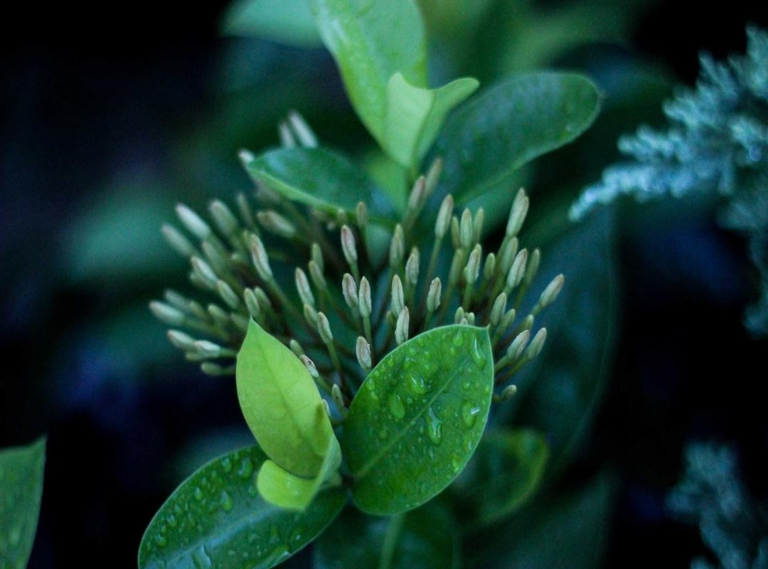 Decoding the Imagery: What the 'Waterfall' Cover Really Means