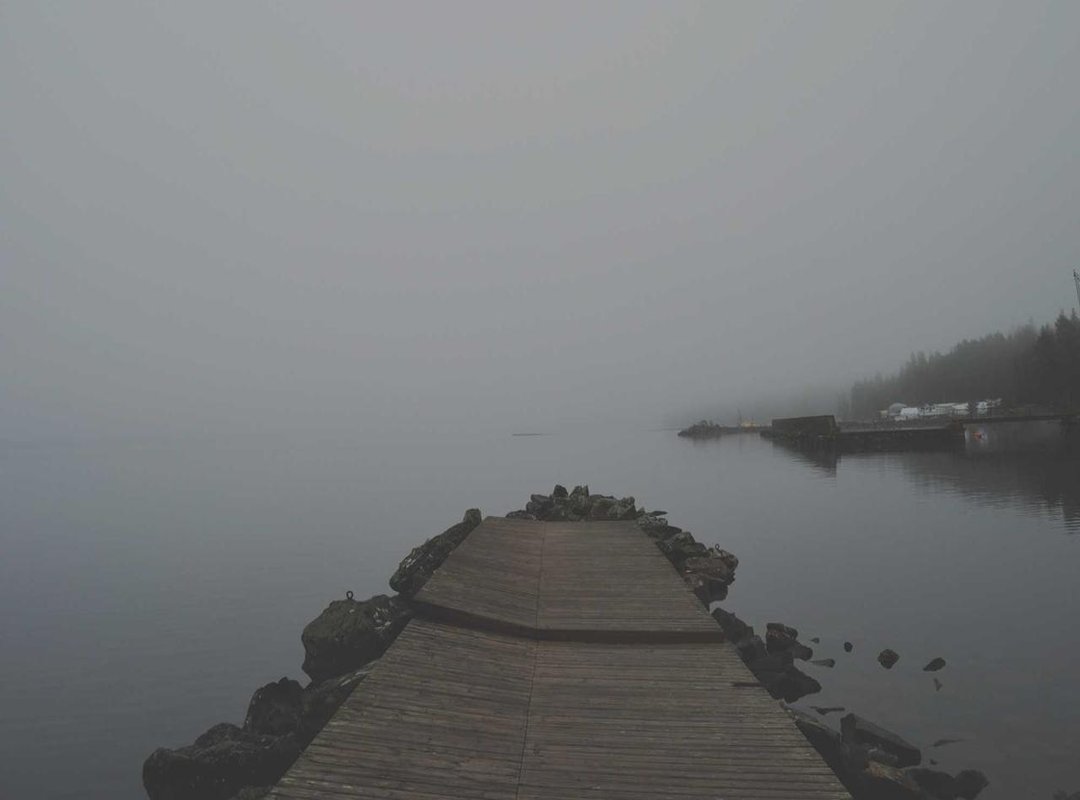 The Reunion: How They Found Each Other Again